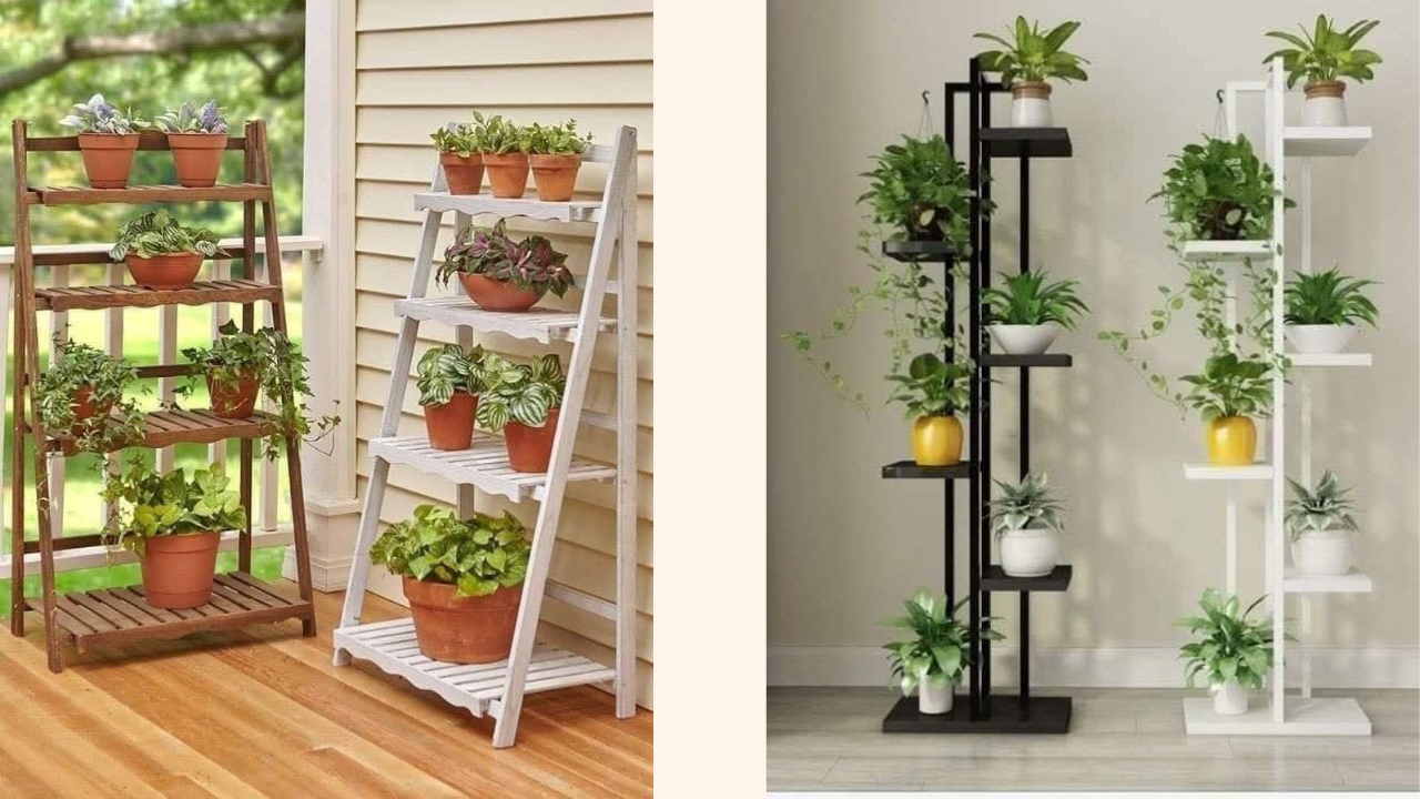 Plant stand designs
