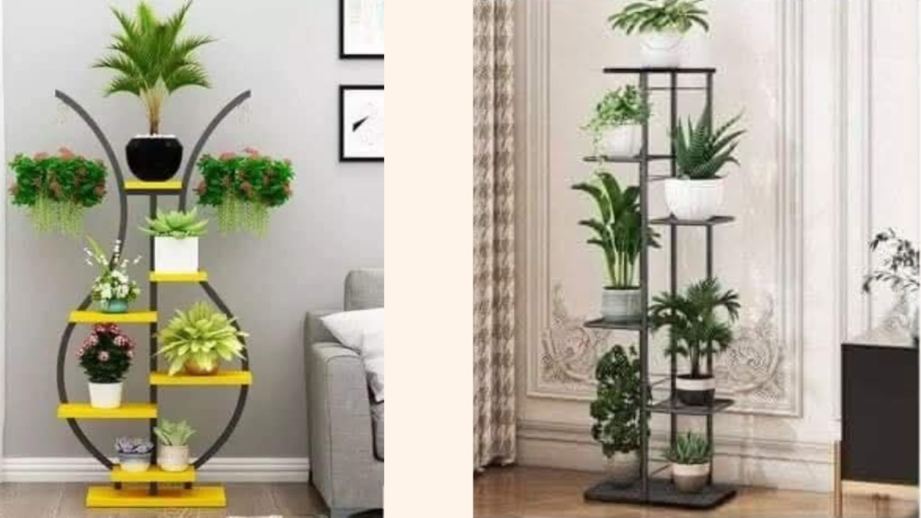 Stylish Plant Display Ideas to Elevate Your Home Decor